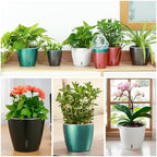 Self Watering Pots for Indoor Plants, 6-Pack 6.7'' Self Watering Planter with Drainage Holes, Small African Violet Pots with Water Indicator, Clear Wick Orchid Pot, Grey - Image 5