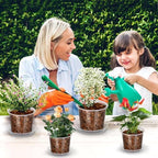 4/6/8/10 Inch Clear Nursery Pots with Drainage and Saucers, 24 Pack Clear Plant Pots, Variety Size Plastic Orchid Flower Pot for Indoor Outdoor - Image 7