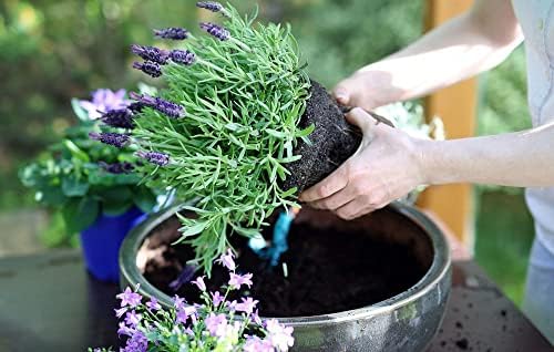 Gardenera Moisture Control Potting Soil - Prevent Over and Under Watering for Your Container Plants! - 4 Quart - Image 5