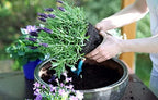 Gardenera Moisture Control Potting Soil - Prevent Over and Under Watering for Your Container Plants! - 4 Quart - Image 5