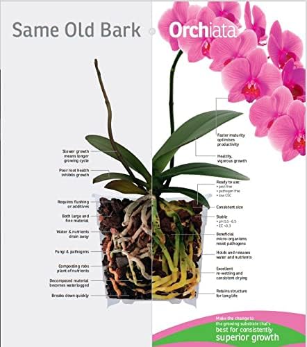 Orchiata Orchid Bark | 100% Pure New Zealand Pinus Radiata | Power Plus 1/2" to 3/4" Organic Potting Bark for Aeration and Longevity - Image 3