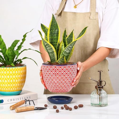 Selamica Ceramica Plant Pots, 6.5 Inch Flower Pots Set of 2 with Drainage Holes & Saucer, Planters for Indoor Plants, Home Decor, Assorted Colors - Image 6