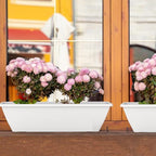 8 Pcs 24 Inch Window Planter Box, White Large Plastic Rectangle Flower Planter Boxes with Water Absorbing Net Indoor and Outdoor Flower Pots for Windowsill, Balcony, Patio, Porch - Image 7
