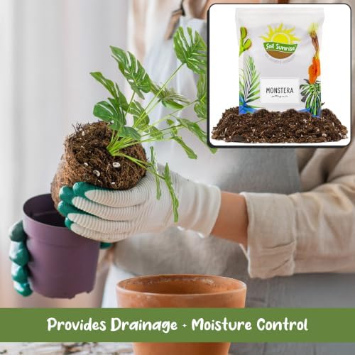 Soil Sunrise Monstera Houseplant Potting Soil Mix (12 Quarts) Custom Blend for Growing and Repotting - Image 4