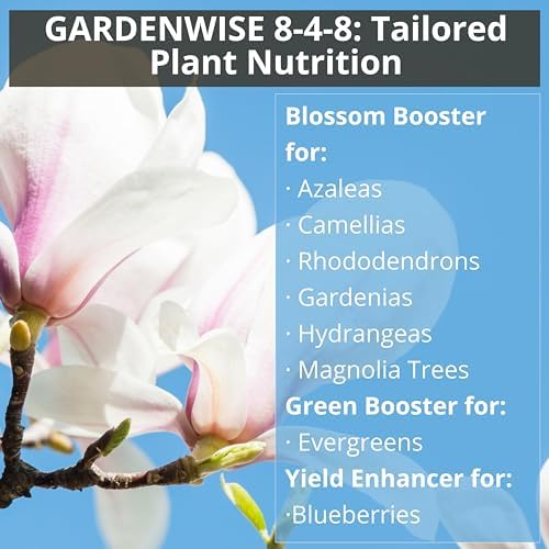 GARDENWISE Professional Citrus Fertilizer + Vital Micronutrients & 8-4-8 Acidic Fertilizer Bundle - Ideal for All Citrus Orange, Avocado & Lemon Tree, Acidic Fertilizer for Azaleas, Camellias (2 Qr) - Image 5