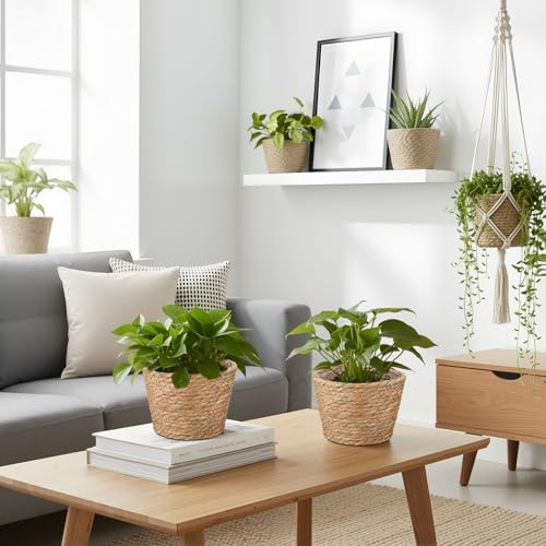 4 Pcs Straw Plant Baskets Indoor Rattan Woven Flower Baskets with Plastic Liner, Cattail Plant Planter for Indoor Outdoor Rustic Boho Home Farmhouse Floor Potted Pots Decor - Image 6