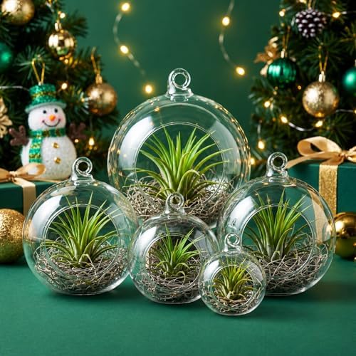 SiliFine 5 Pack Varied Sizes Hanging Glass Terrarium Planter 2.36" to 5.91" - Image 5