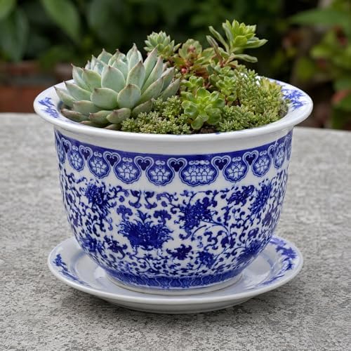 DOITOOL Blue and White Ceramic Planter - 6.7 in Pot with Drainage & Saucer - Image 2