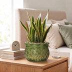 8 Inch Flower Pot, Ceramic Pots for Indoor Plants, Crack Green - Image 6