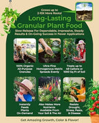 Organic Plant Magic - Truly Organic™ Slow Release Granular Fertilizer: Long-Lasting Plant Food Granules - Indoor & Outdoor Flowers, Vegetable Gardens, Fruit Trees, Shrubs, House Plants (Two 4 lb Bags) - Image 5