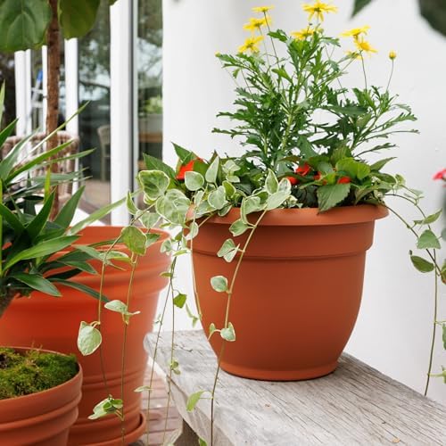 Bloem Ariana 16" Plastic Self-Watering Planter, Terra Cotta, 2-Pack - Image 2
