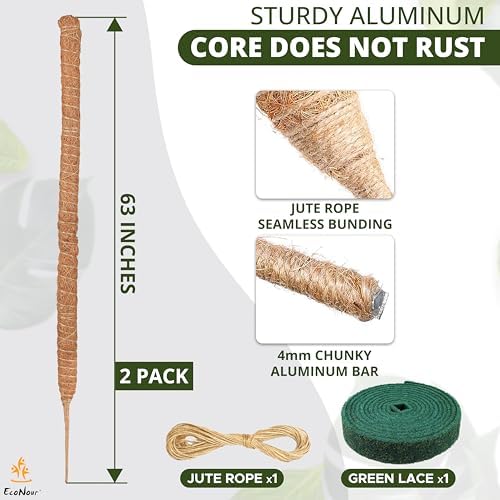 EcoNour Tall Moss Pole for Plants (2-Pack) 63-Inch | Large Monstera Plant Support for Climbing and Growth | Elevate Your Indoor Garden | Tall Plant Support for Indoor Potted Plants to Grow Upwards - Image 3