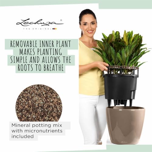 LECHUZA 16020 Classico LS 21 Self-Watering Planter, White High Gloss - Image 7