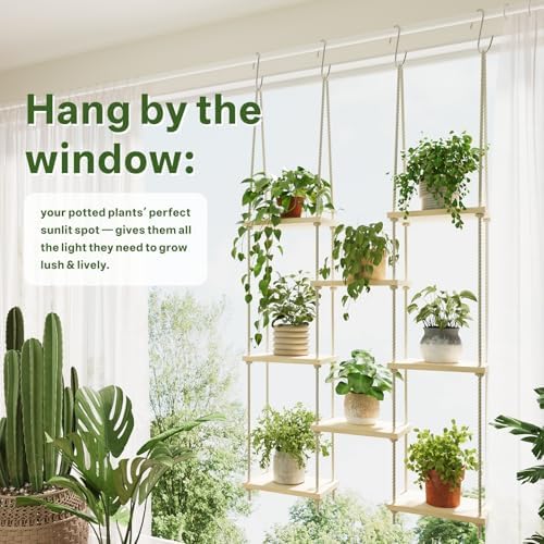 Window Plant Shelves Hanging Rack for Indoor Home Decor, 8-Tier - Image 2