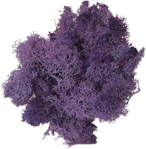 200g Artificial Moss for Crafts, Faux Decorative Plant for DIY Walls Wedding Party Table Centerpieces Home, Purple by LKXHarleya