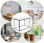 Glass Plant Terrarium Vase for Plants and Flowers - Image 3