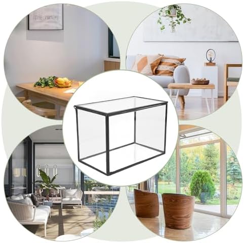 Glass Plant Terrarium Vase for Plants and Flowers - Image 3