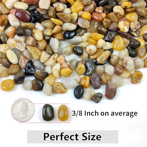 YISZM 10LB Succulent and Cactus Gravel Pebbles, 3/8 Inch Natural Stones - Image 4