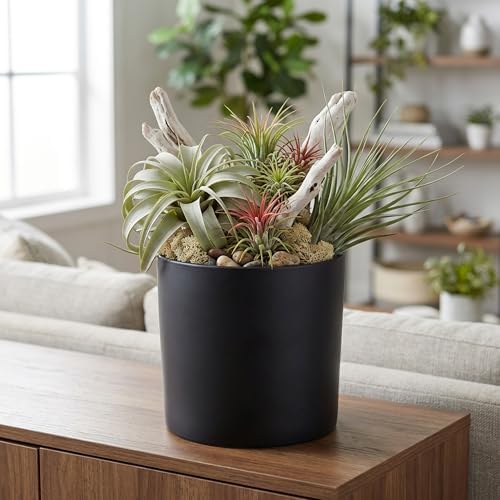 WGVI Black Ceramic Cylinder Vase Width 7" Height 6.75", Flower Arrangements, Candle Holder, Terrarium Planter Pot, Storage Container Organizer, Pen Brush Holder, 6 Pieces - Image 5