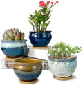 5.5 Inch Succulent Pot with Drainage and Free Saucer Glazed Terracotta Round Ceramic Succulent Planter Cactus Bonsai Plant Pot (Set of 4) by SUMMERIMPRESSIONS