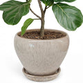 Deep Dream 10 Inch Plant Pot- Ceramic Planter Pot Round Plant Pots for Indoor Plants Outdoor Large Flower Pot with Drainage Holes & Trays, Beige by DeepDream