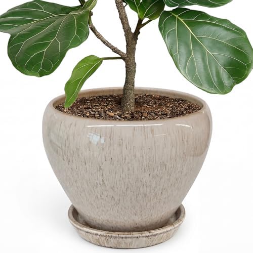 Deep Dream 10 Inch Plant Pot- Ceramic Planter Pot Round Plant Pots for Indoor Plants Outdoor Large Flower Pot with Drainage Holes & Trays, Beige by DeepDream