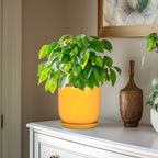 Indoor Plant Pot - 7 Inch Modern Round Ceramic Planter for Indoor Outdoor Plants with Drainage Hole and Saucer, Home Garden Office House Decor, Yellow - Image 4