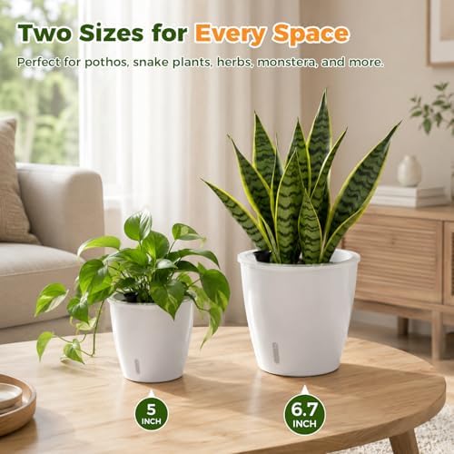 Upgraded Self Watering Pots for Indoor Plants, 8-Pack 5/6.7 Inch Top-Fill Self Watering Planter with Water Window, Clear Wick Inner Basket with Drainage, White (5 Pcs 5" and 3 Pcs 6.7") - Image 6