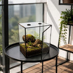 ZMG Glass Terrarium Front Door Top Vents, Rectangular Snail Habitat Planter - Image 7