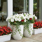 Briwooody 2 Pcs Tall Planter 15" Large Round Plastic Plant Pots with Drainage Hole and Tray White Modern Planter for Indoor Outdoor Plants Home Office Kitchen Bedroom Living Room Porch Patio Decor - Image 5