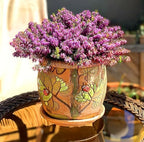 STP GOODS Ceramic Pot with Drainage Hole and Saucer, Plant Pots, Modern Decorative Planters for House Plants Indoor Flowers Plants, Cute Flower Pot - Gifts (Ladybugs (1.6 L)) - Image 5