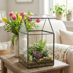 D'Eco Large Glass Plant Terrarium, Centerpiece & Wedding Letterbox Display - Image 4