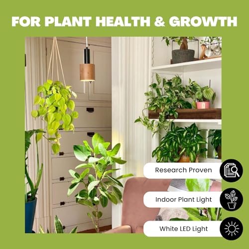 Norb NorbBOTANIC Full Spectrum Grow Light Bulb, Premium PAR38 LED Plant Light, 16W White Light for Indoor Plants, Herbs, Tropical Plants, 15 Degree - Image 3