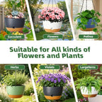 Hanging Planters, 3 Pack, Self-Watering, 10 Inch, Grey - Image 5