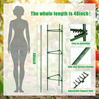 Chunful 10 Packs Tomato Cages for Garden Support up to 48", Green - Image 3