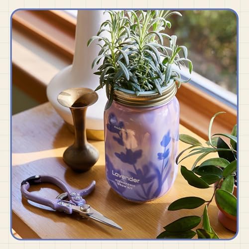 Modern Sprout Hydroponic Grow + Harvest Bundle - Image 4