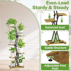 iDavosic.ly 5 Tier Tall Plant Stand with Grow Light for Indoor, Black Brown - Image 2