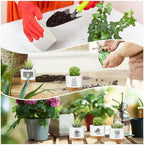 Havawish 12 Pcs Book Lovers Gifts Ceramic Succulent Pots Bamboo Tray,Cute - Image 5