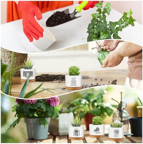 Havawish 12 Pcs Book Lovers Gifts Ceramic Succulent Pots Bamboo Tray,Cute - Image 5