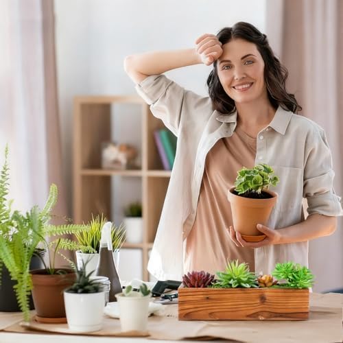 BESPORTBLE Wood Planter Box Set Rustic Wooden Planter Boxes for Indoor Windowsill Balcony Garden Office Decor 11.81 X 4.33 X 6.69 in 2 Pack - Image 4