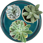 W&W Ceramic Plant Saucer - Plant Trays for Indoor Pots (Teal, 13 inches, 2 Packs) - Image 5