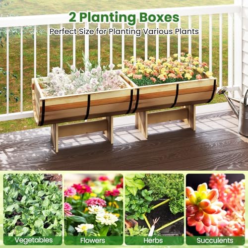 Giantex Set of 2 Half Barrel Raised Garden Bed, Acacia Wood Planter Box for Flower Vegetable Fruit, Outdoor Indoor Plant Pot with Legs for Garden Decoration, 18"x12"x11.5" - Image 4