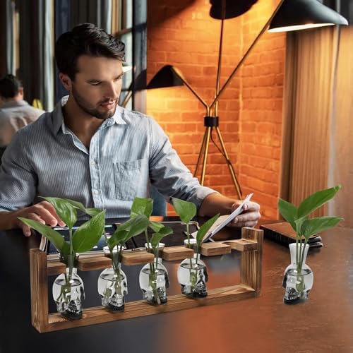 Plant Terrarium Propagation Stations Halloween Skull Planter Vase Skulls - Image 5