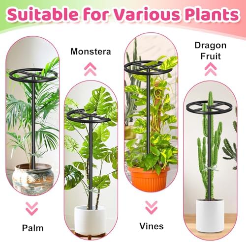 Dragon Fruit Trellis,44" Adjustable Metal Dragon Fruit Plant,2 Pcs - Image 6