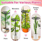 Dragon Fruit Trellis,44" Adjustable Metal Dragon Fruit Plant,2 Pcs - Image 6