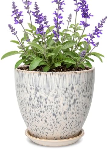 8 Inch Ceramic Planter with Drainage Hole Saucer(Spotted Blue) by Unknown