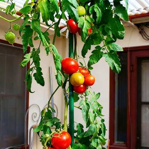 Xiny Tool Garden Stakes, 15 Pack 8 FT Steel Plant Garden Tomato Stakes with Plastic Coat for Climbing Plants (96 Inch) - Image 7