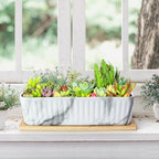 Succulent Pots, Large Shallow Rectangle Planters with Drainage Tray - Image 6
