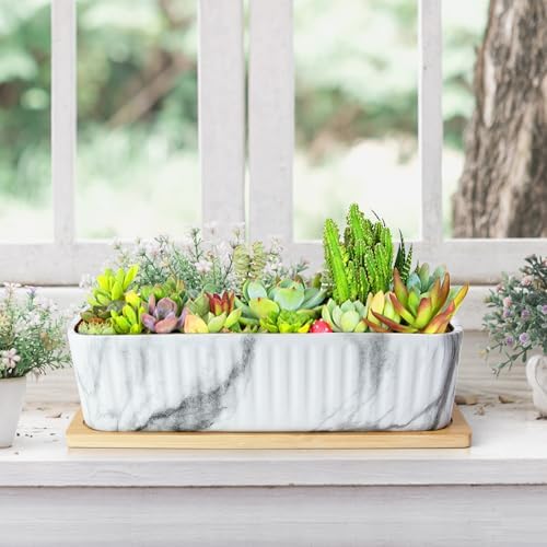 Succulent Pots, Large Shallow Rectangle Planters with Drainage Tray - Image 6