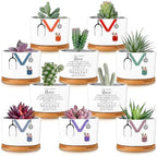 Nurse Appreciation Gifts for Women Mini Succulent Pots Nursing Assistant Ceramic Plant Pots Decor Thank You Gifts for CNA Nicu RN Nursing Student Graduation(10 Pcs) by Tiangrid